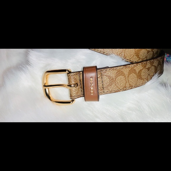 Coach Classic Belt in Signature Print - Picture 2 of 4